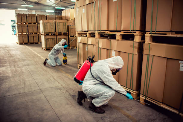 Best Exterminator Services  in Bellevue, MI