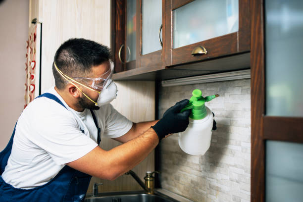 Best Ant Control Services  in Bellevue, MI