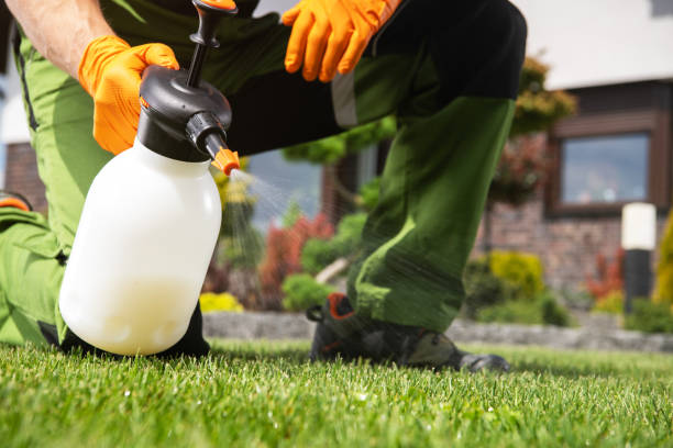 Trusted Bellevue, MI Pest Control Experts