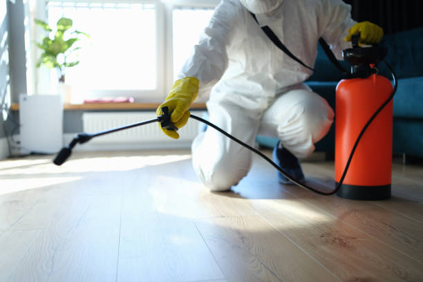 Wasp Removal Services in Bellevue, MI