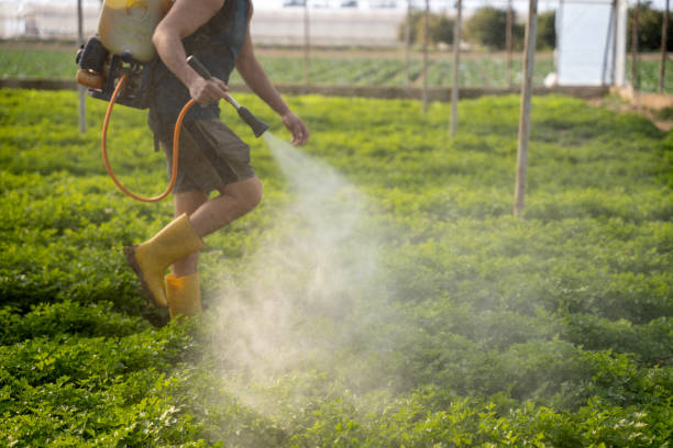 Best Best Pest Control Companies  in Bellevue, MI