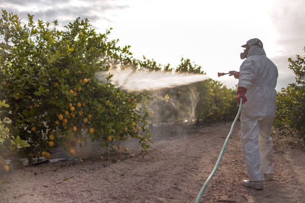 Best Insect Control  in Bellevue, MI
