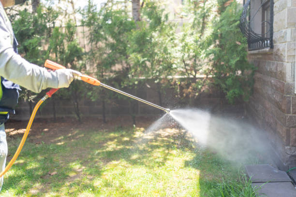 Best Bird Control  in Bellevue, MI
