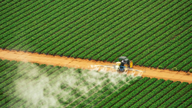Best Pest Removal Services  in Bellevue, MI