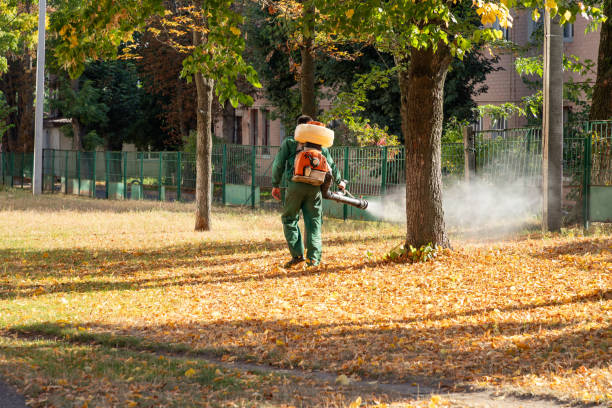 Best Ant Control Services  in Bellevue, MI
