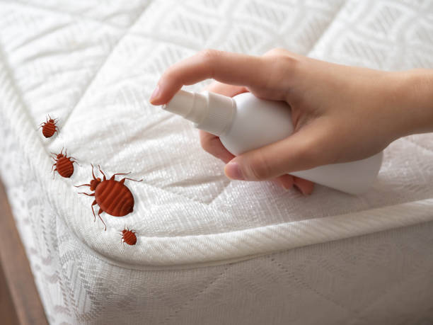  Bellevue, MI Pest Control Pros