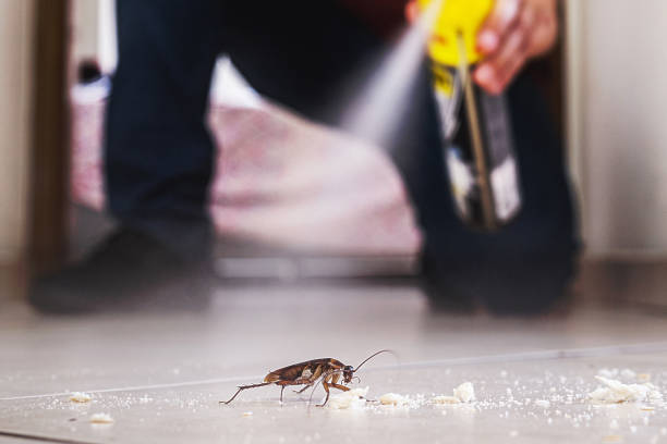 Best Bed Bug Extermination  in Bellevue, MI