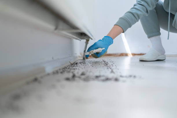 Best Emergency Pest Control  in Bellevue, MI