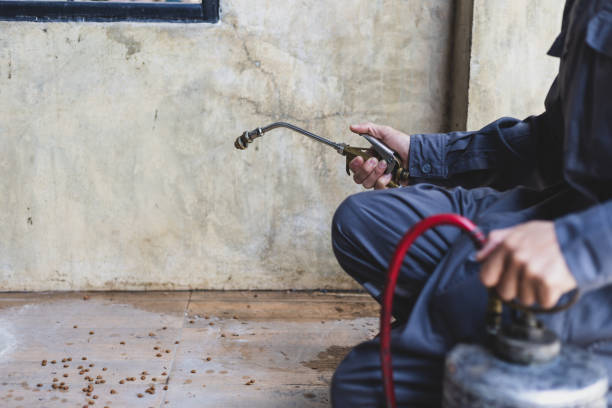 Best Pest Removal Services  in Bellevue, MI